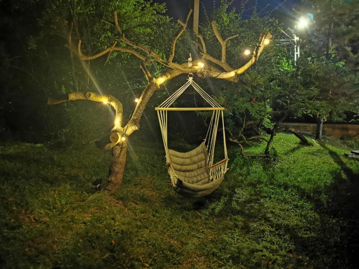 Cabana Din Padurea Valeni Vălenii de Munte エクステリア 写真