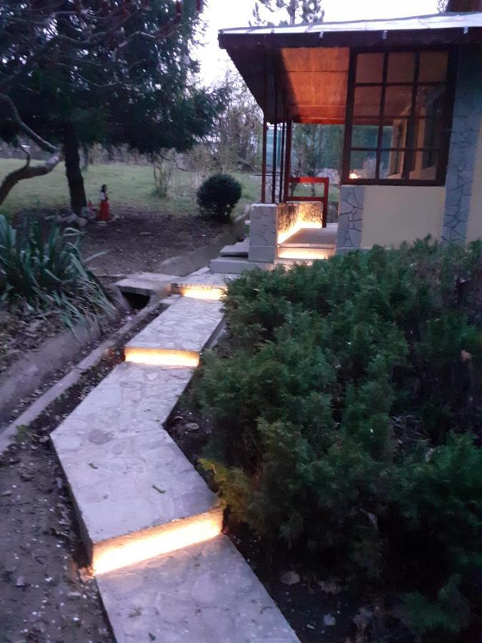 Cabana Din Padurea Valeni Vălenii de Munte エクステリア 写真