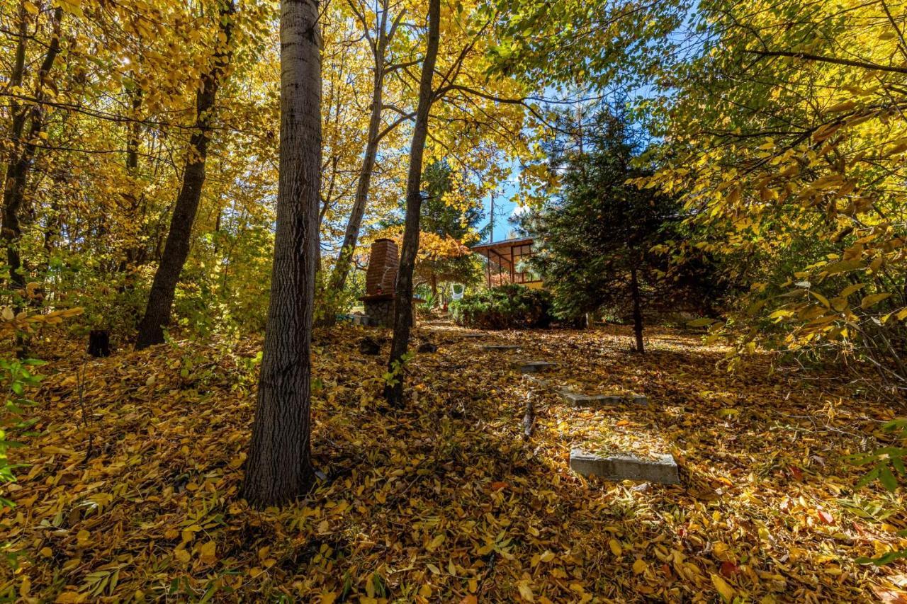 Cabana Din Padurea Valeni Vălenii de Munte エクステリア 写真