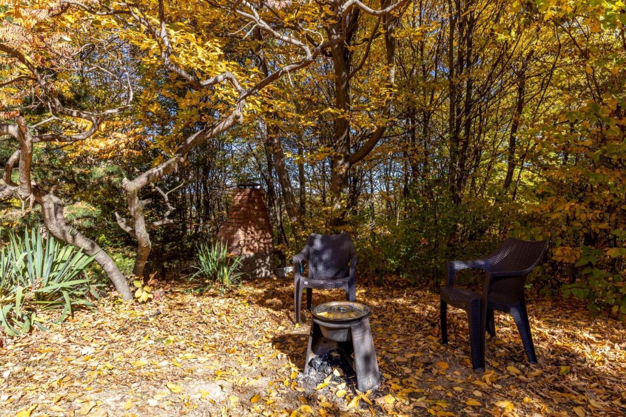 Cabana Din Padurea Valeni Vălenii de Munte エクステリア 写真
