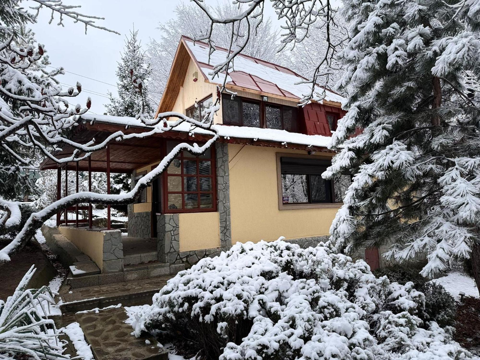 Cabana Din Padurea Valeni Vălenii de Munte エクステリア 写真