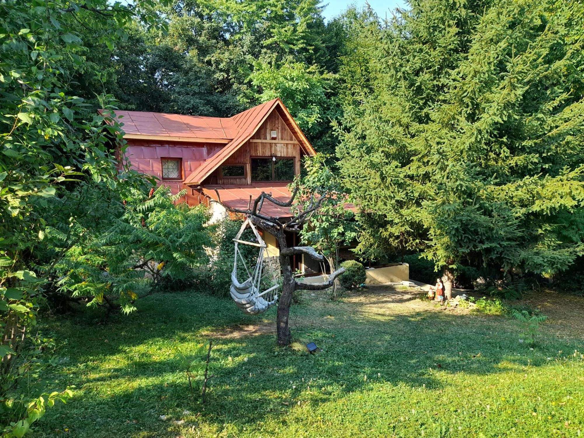 Cabana Din Padurea Valeni Vălenii de Munte エクステリア 写真