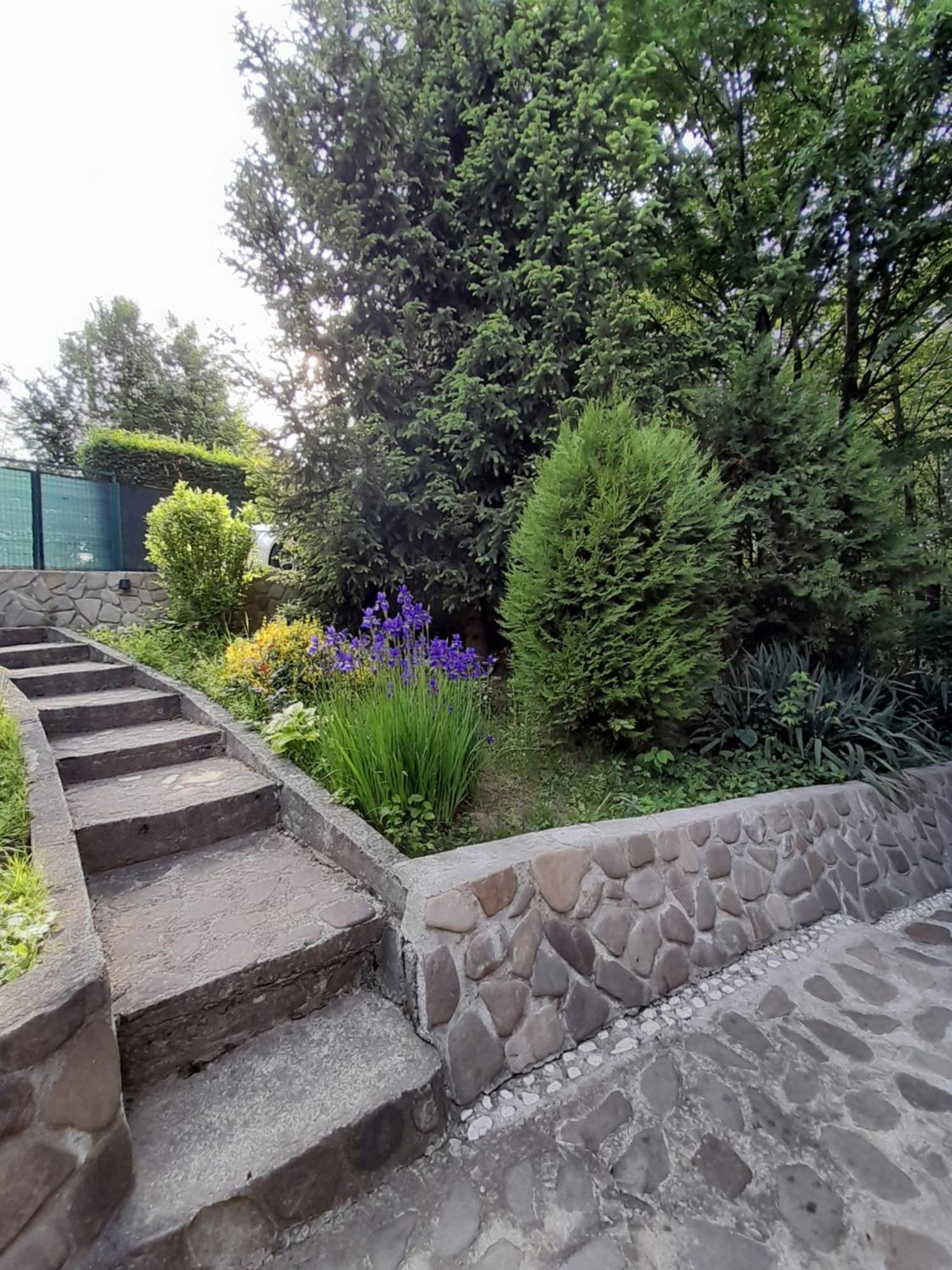 Cabana Din Padurea Valeni Vălenii de Munte エクステリア 写真