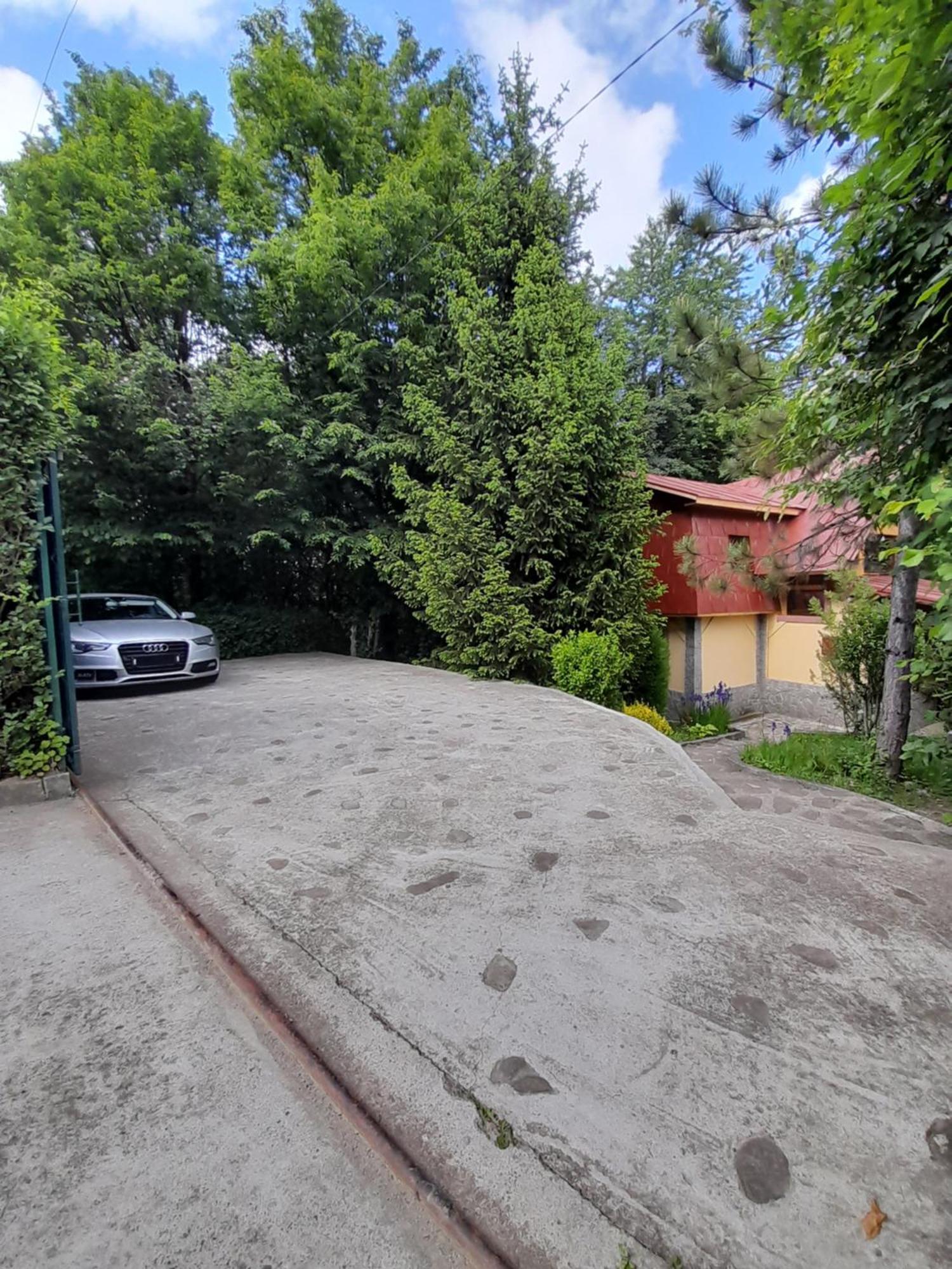 Cabana Din Padurea Valeni Vălenii de Munte エクステリア 写真