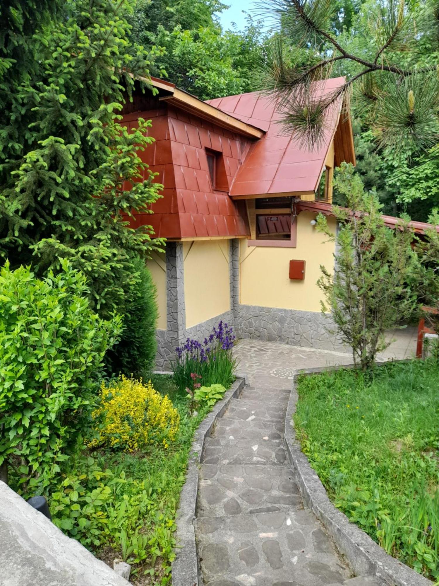 Cabana Din Padurea Valeni Vălenii de Munte エクステリア 写真