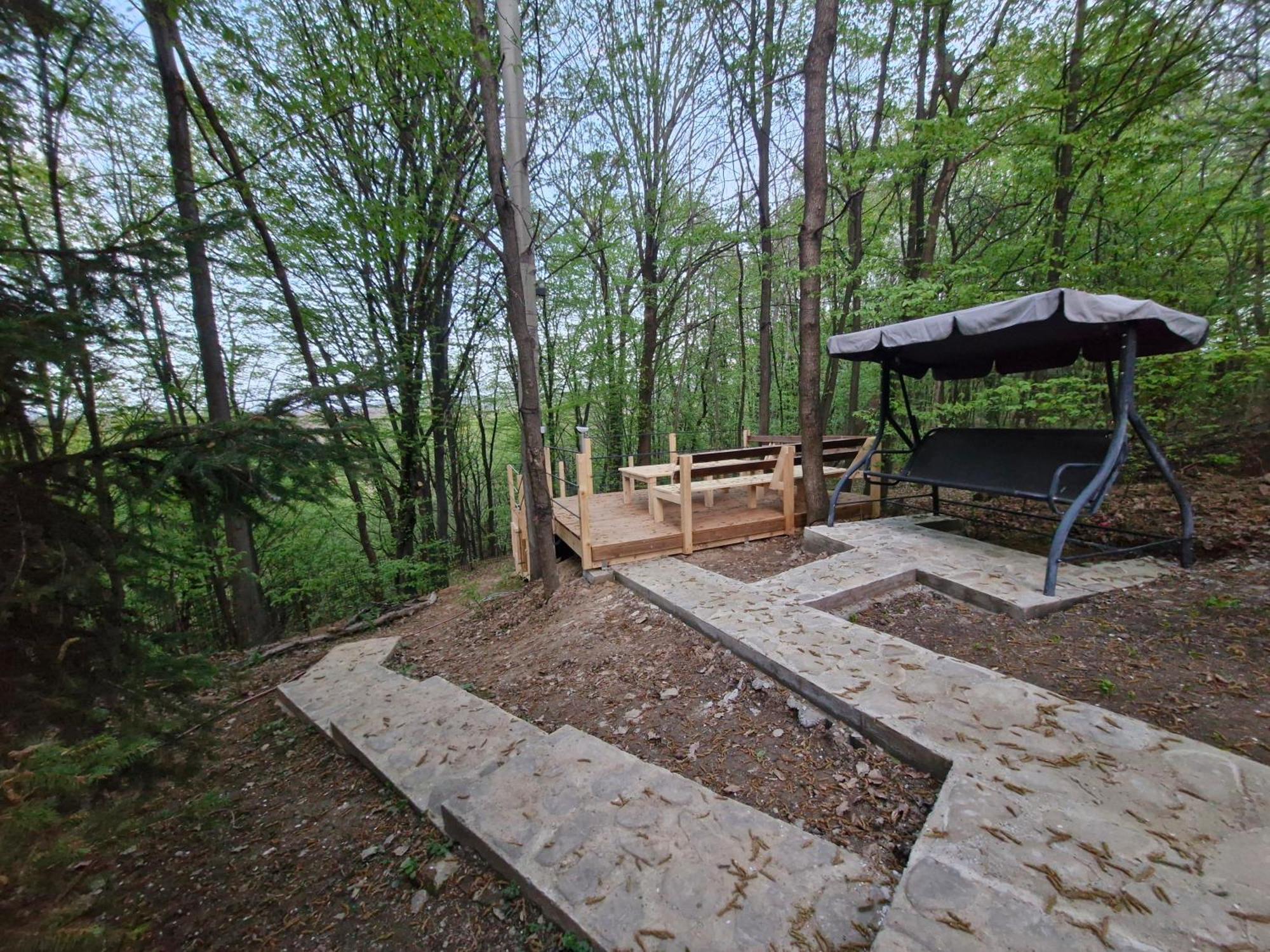 Cabana Din Padurea Valeni Vălenii de Munte エクステリア 写真